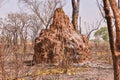 Giant termite mound in an empty field Royalty Free Stock Photo