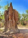 Giant termite mound, Litchfield National Park, Northern Territory, Australia