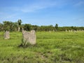 Giant termite mound, Litchfield National Park, Northern Territory, Australia Royalty Free Stock Photo