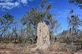 A giant termite mound in Kakadu National Park Royalty Free Stock Photo