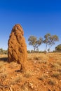 Giant Termite Mound on Outback Western Australia