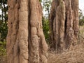 Giant Termite Mounds,Ant Hills, Northern Territory