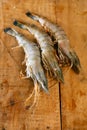 Giant tiger raw shrimps prawns Royalty Free Stock Photo