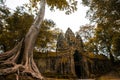 Giant tree with deep story temple in Cambodia. unis co world heritage Royalty Free Stock Photo