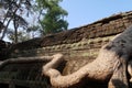 Giant tree roots growing along and over ancient temple ruins, angkor wat, cambodia, khmer civilisation