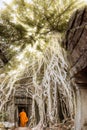 Giant tree roots and monk in temple Ta Prom Angkor wat