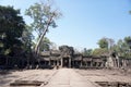 Nature taking over at Preah Khan temple