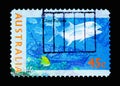 Giant Trevally (Caranx ignobilis), Marine Life serie, circa 1995