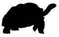 Giant turtle silhouette. Turtle logo.