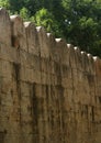 The giant wall of vellore big fort with trees Royalty Free Stock Photo