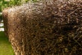 Giant wall of wood