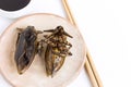 Giant Water Bug is edible insect for eating as food Insects deep-fried crispy snack on plate and sauce with chopsticks on white Royalty Free Stock Photo