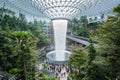 The Giant water fall HSBC Rain Vortex and beautiful green nature Shiseido Forest Valley in the Jewel Changi Airport, link to