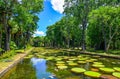 Giant water lilies Victoria Amazonica