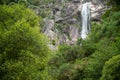 Giant waterfall in the middle of a forest with green vegetation. Frecha da Mizarela