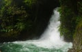 The huge and turbulent waterfall comes from the forest