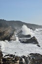 Giant Waves At Shore Acres State Park, Oregon Royalty Free Stock Photo