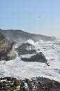 Giant Waves At Shore Acres State Park, Oregon Royalty Free Stock Photo