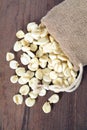 Giant white corn Royalty Free Stock Photo