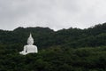 Giant white image of Buddha with green mountain 5 Royalty Free Stock Photo