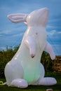 Giant White Rabbit Howling at Night , Tied with ropes
