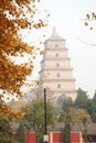 Giant Wild Goose Pagoda in autumn Royalty Free Stock Photo