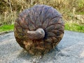 Giant wooden acorn sculpture at The Land of the Giants, Clare Lake, Claremorris