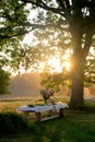Giant wooden picnic table in scenic park with old trees, yellow sunset light.