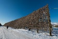 Giant wooden racks with tons of cod fish hanging in open sea air to dry and become skrei on the Lofoten islands in Norway on clear Royalty Free Stock Photo