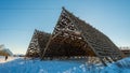 Giant wooden racks with tons of cod fish hanging in open sea air to dry and become skrei on the Lofoten islands in Norway on clear Royalty Free Stock Photo