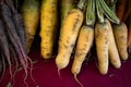 Giant yellow carrots at a farmers market