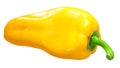 Yellow patrizia pepper, paths Royalty Free Stock Photo