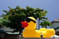Giant yellow rubber duck in King plaza