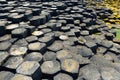 Giants Causeway, an area of hexagonal basalt stones, created by ancient volcanic fissure eruption, County Antrim, Northern Ireland