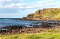 Giants Causeway and cliffs in Northern Ireland Royalty Free Stock Photo