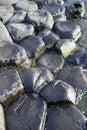 Giants Causeway; County Antrim; Northern Ireland Royalty Free Stock Photo