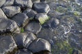 Giants Causeway; County Antrim; Northern Ireland Royalty Free Stock Photo