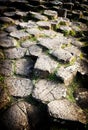 Giants Causeway, Ireland Royalty Free Stock Photo