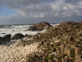 Giants Causeways Royalty Free Stock Photo
