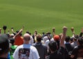 Giants Fans raise hands into the air to cheer