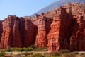 Giants of Quebrada de Cafayate