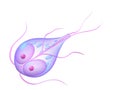 Giardia Royalty Free Stock Photo