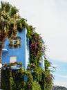 Giardini Naxos blue hotel covered in greenery, Sicily