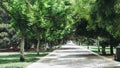 Giardini pubblici (Public park) in Cagliari Royalty Free Stock Photo