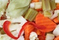 Giardiniera vegetables Royalty Free Stock Photo