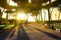 Giardino degli Aranci Royalty Free Stock Photo