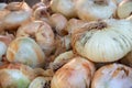 Giarratana onions Royalty Free Stock Photo