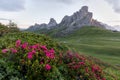 The Giau Pass is a high mountain pass in the Dolomites in the province of Belluno, Italy. Royalty Free Stock Photo