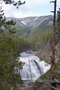 The Gibbon Falls in the Yellowstone National Park