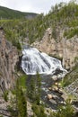 Gibbon Falls in the Yellowstone National Park